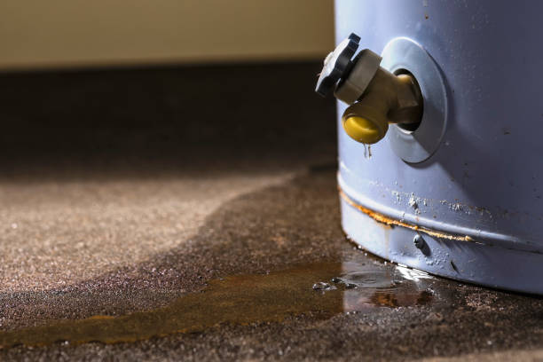 Best Residential water damage restoration  in Monroe Manor, NJ