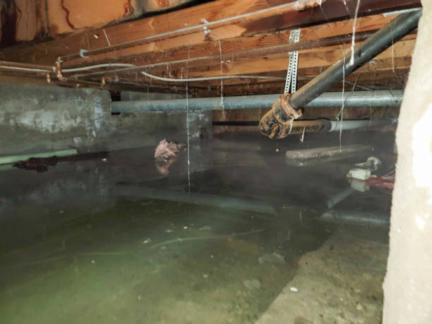 Best Water damage cleanup near me  in Monroe Manor, NJ