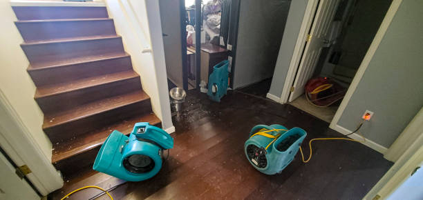 Best Basement water damage restoration  in Monroe Manor, NJ