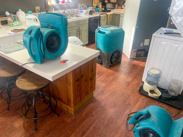 Best Professional water damage repair  in Monroe Manor, NJ