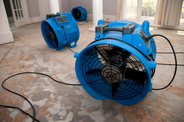 Best Water damage restoration experts  in Monroe Manor, NJ