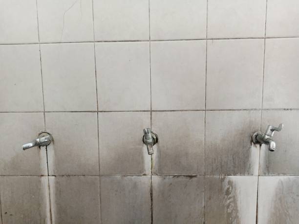 Best Flood restoration services  in Monroe Manor, NJ