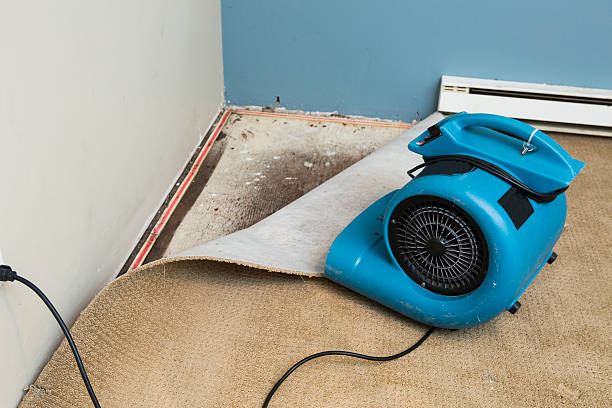 Best 24/7 water damage repair  in Monroe Manor, NJ